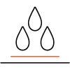 ikona